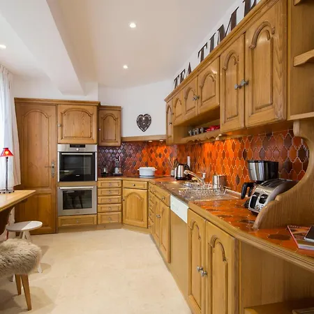 Apartamento De Luxe Au Centre De 1850 Avec Cheminée Et Balcon - Fr-1-564-21